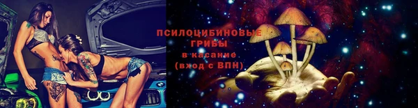 PSILOCYBIN Горнозаводск