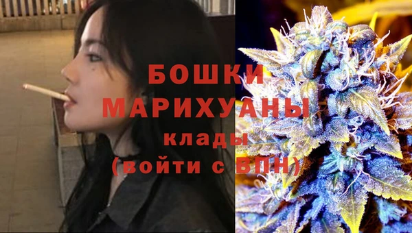 PSILOCYBIN Горнозаводск