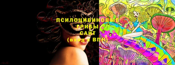 метадон Горняк