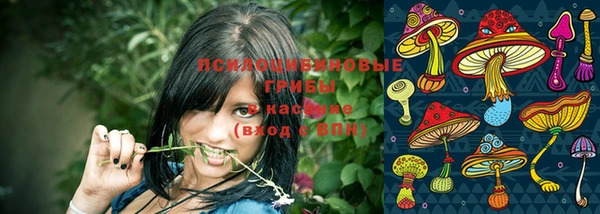 PSILOCYBIN Горнозаводск