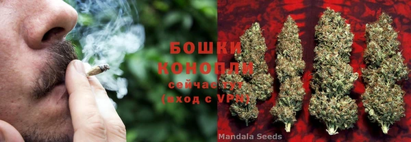 метадон Горняк