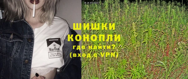 PSILOCYBIN Горнозаводск