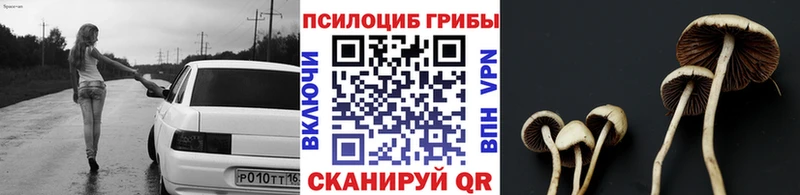 Галлюциногенные грибы прущие грибы Азов